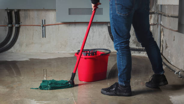 Best Water damage cleanup near me  in Lander, WY