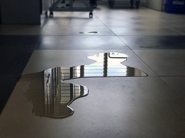 Best Emergency water damage restoration  in Lander, WY