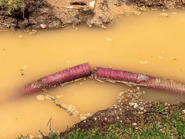 Best Carpet water damage restoration  in Lander, WY