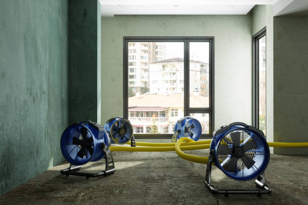 Best Mold removal after water damage  in Lander, WY